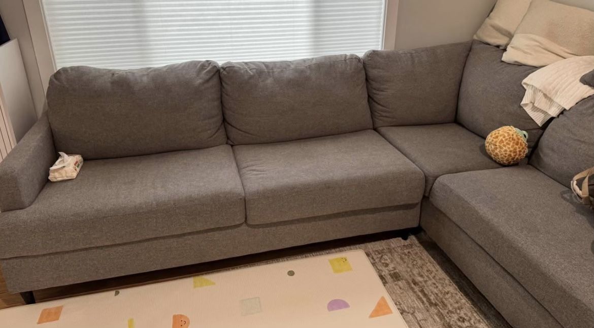 Sectional Couch 