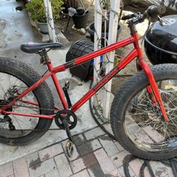 Mangoose bike 