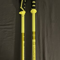 Salomon Ski Poles 