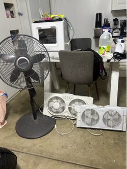 fans (abanicos)