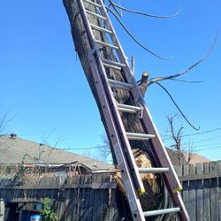 20 Ft Extension Ladder