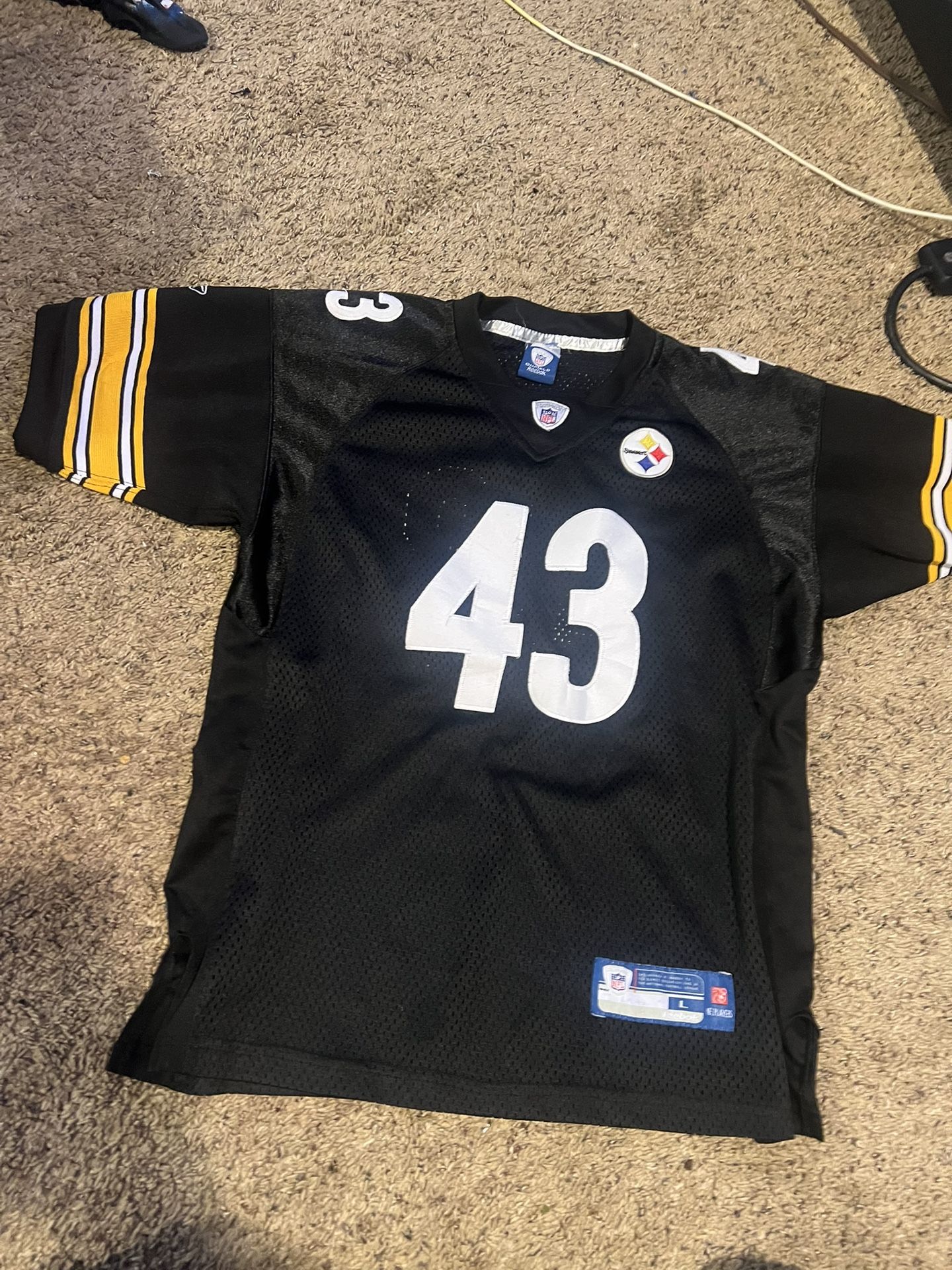 Troy Polomalu Jersey