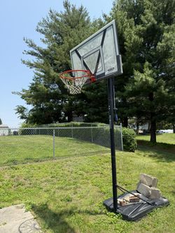 Lifetime Basketball Hoop