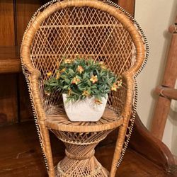 Mini Wicker Peacock Chair Plant