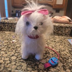 Cute Little Dog- Barks And Walks 