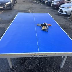 Ping Pong Table 