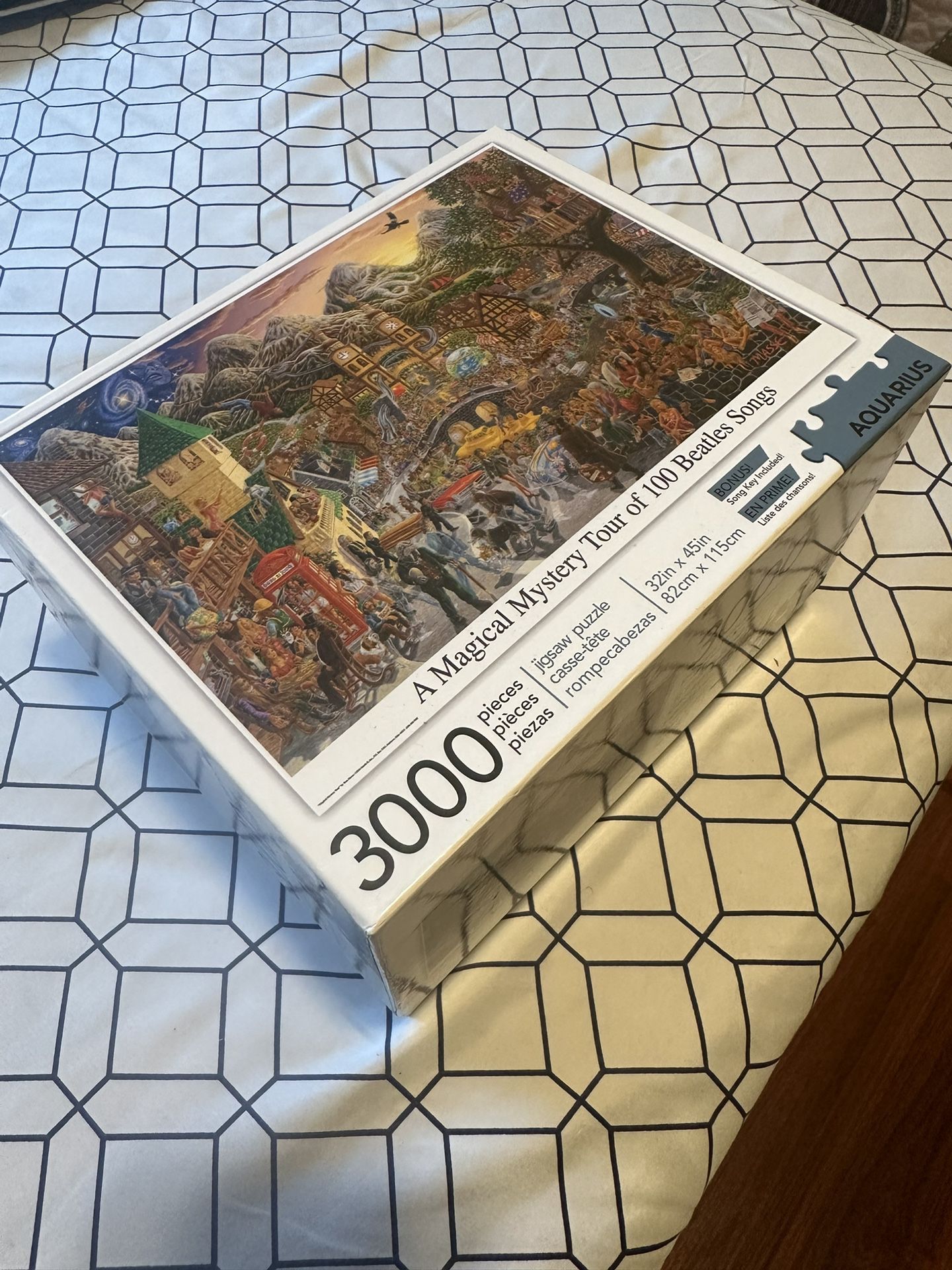 Puzzle 3000 Pieces 