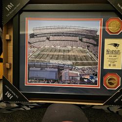 BRAND NEW PATRIOTS PHOTE WITH BRONZE MEDALLIONS