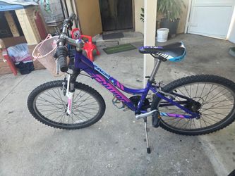Schwinn bicycle