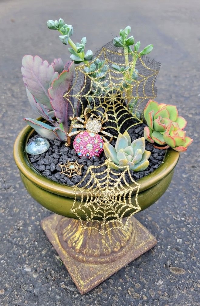 💎 “Glam Spider Garden” Succulent Arrangement 💎