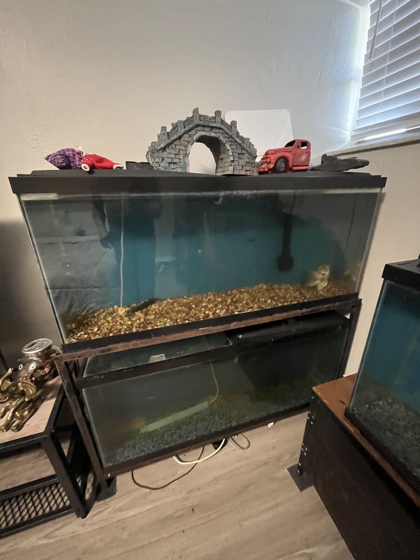 Two Fish Tank with the stand and fish inside