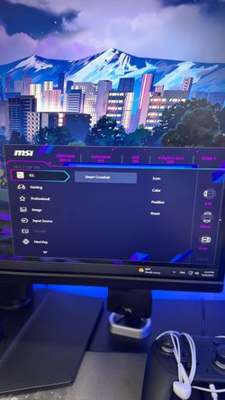 MSI Monitor