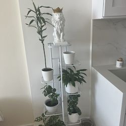 White Stand With Plants And Planters