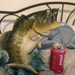 Big Bass  Beautiful $100  Reduced 