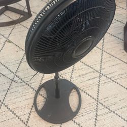 Fan