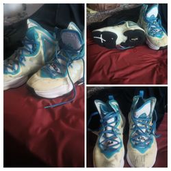 Lebron James Shoes 