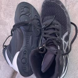 Wrestling Shoes 