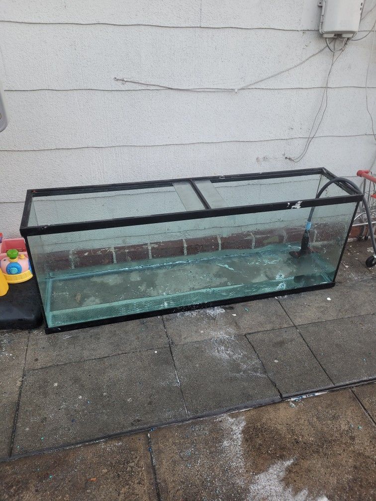 90 Gallon Tank
