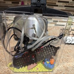 Fish Tank 
