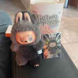 Authentic Secret Labubu From Pop Mart