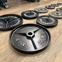  Olympic Full Set Of Cast Iron Weight Plates  from 2.5s to 45s  Pounds Like NEW (reconditioned), [Total: 245 lbs].   