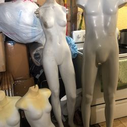 Mannequin