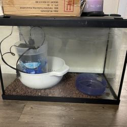 Fish Tank