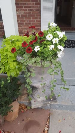 fancy tall pot of flowers 🌺 60$Each