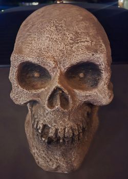 Halloween skull