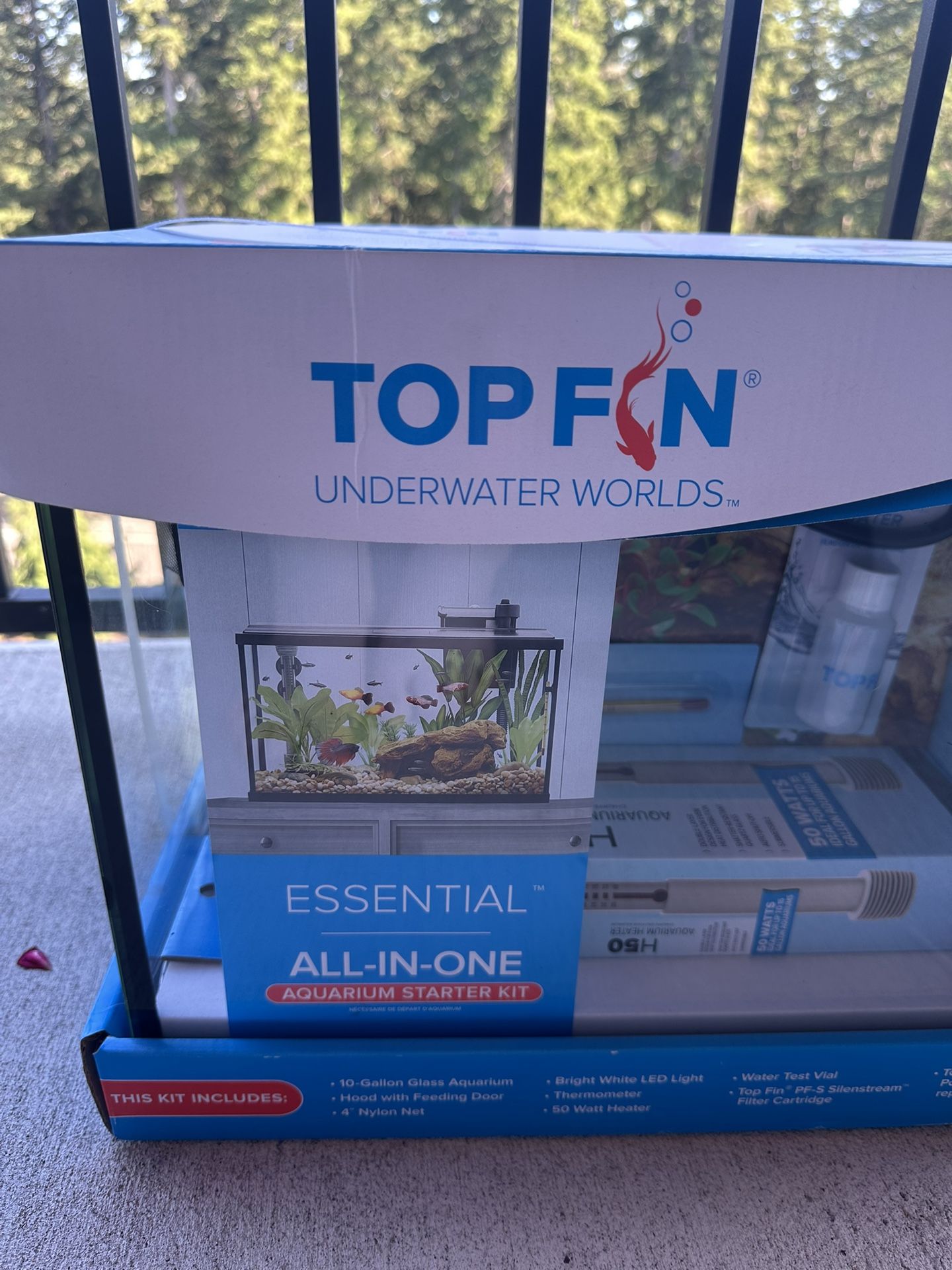 10 Gallon Fish Tank With Everything
