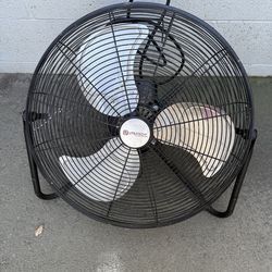 Fan