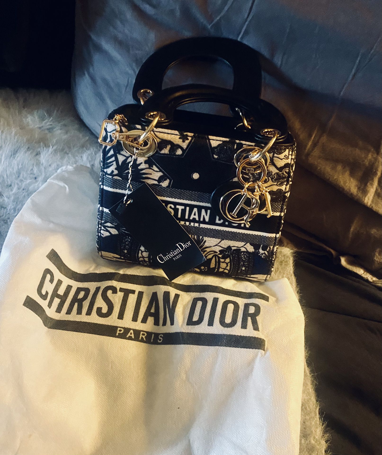 Christian Dior Purse 