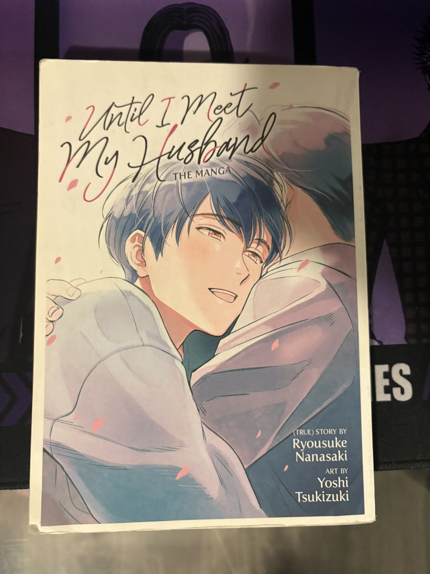 Until I Meet My Husband BL Manga