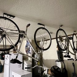 2 Adult Schwinn Bikes 