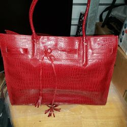 Red Purse/Bag/Carry All