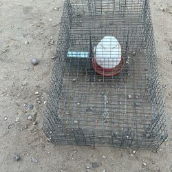 Small Pet cage measuring 45 inches long by 24 inches wide and 10 inches high