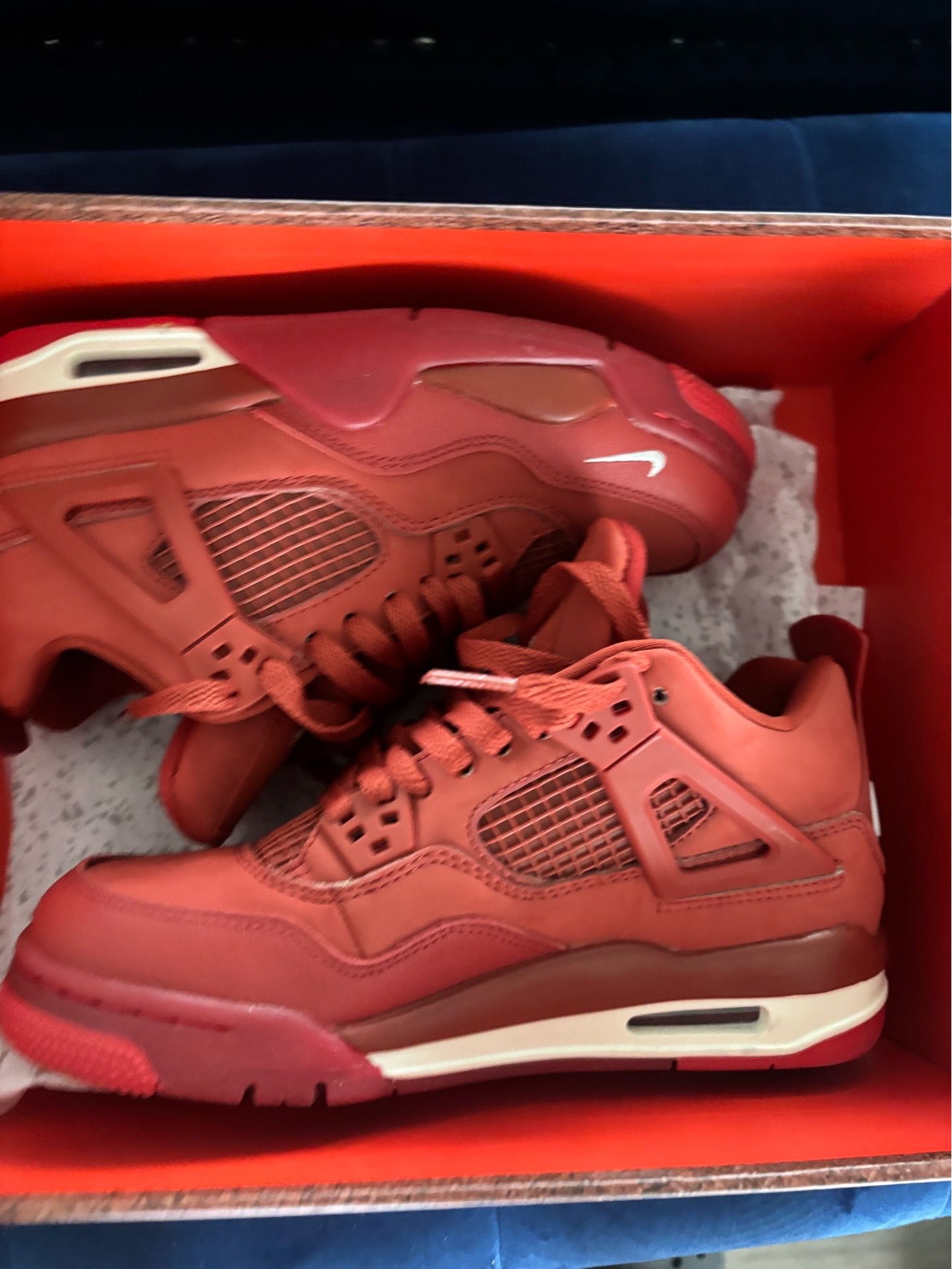 Jordan 4 bike air
