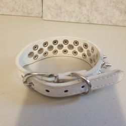 Small dog Collar 
