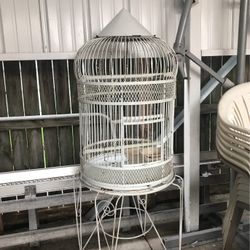 Bird Cage
