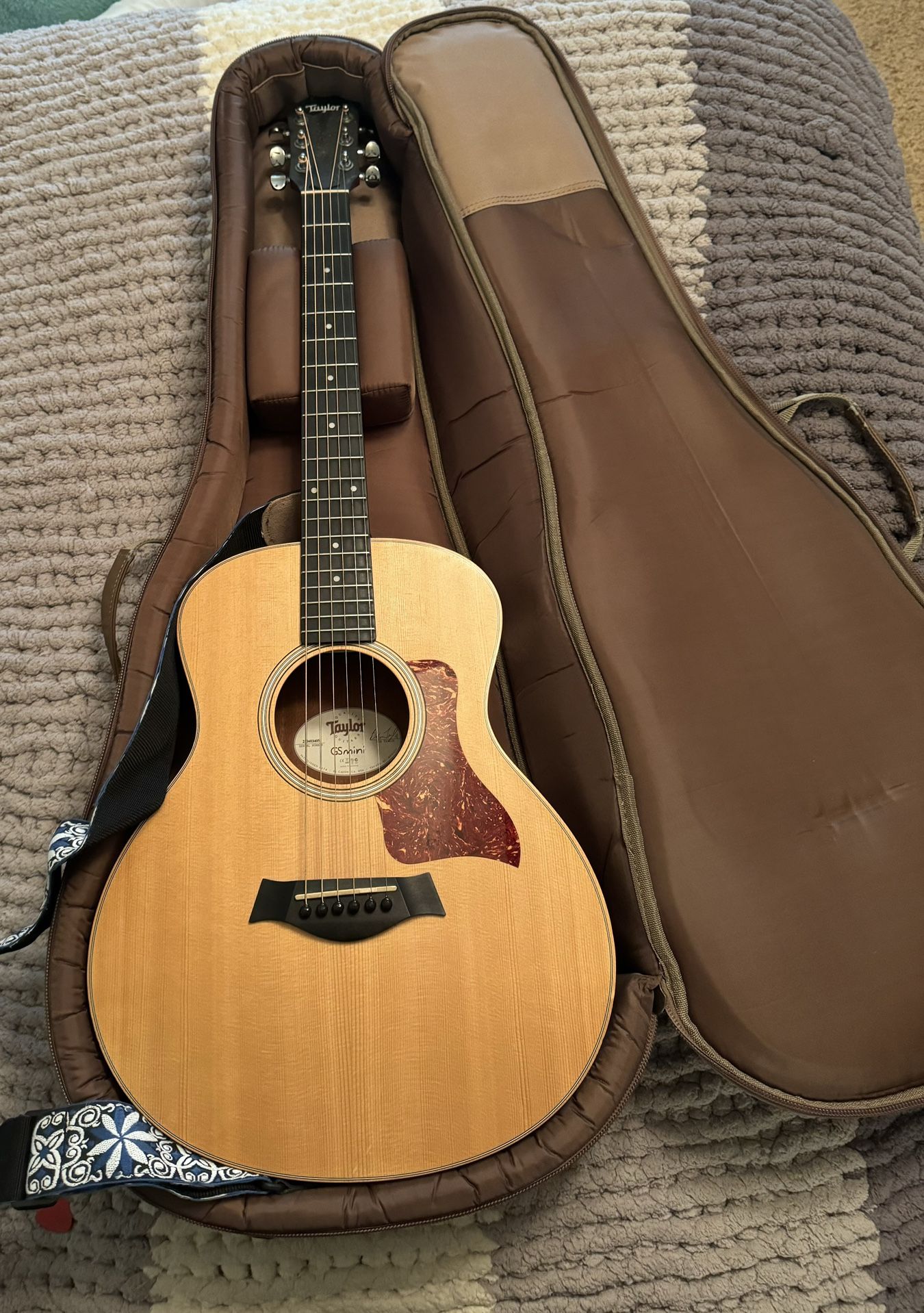 Taylor GS Mini In Great Condition 