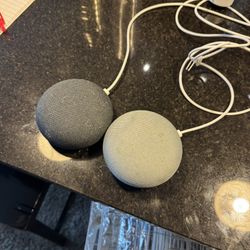 Google Nest mini