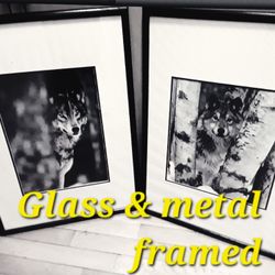 Painting and Beautiful Wolf Photo