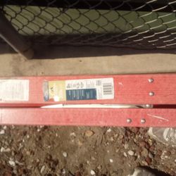 8'- Werner Stepladder 