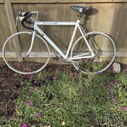 Road Bike (Cannondell )