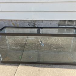 Fish Tank 