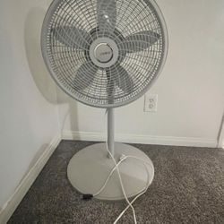 Lasko Fan 
