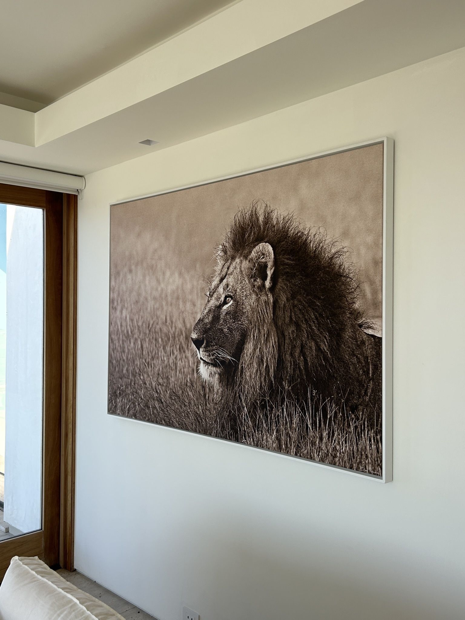 White framed portrait giant lion head