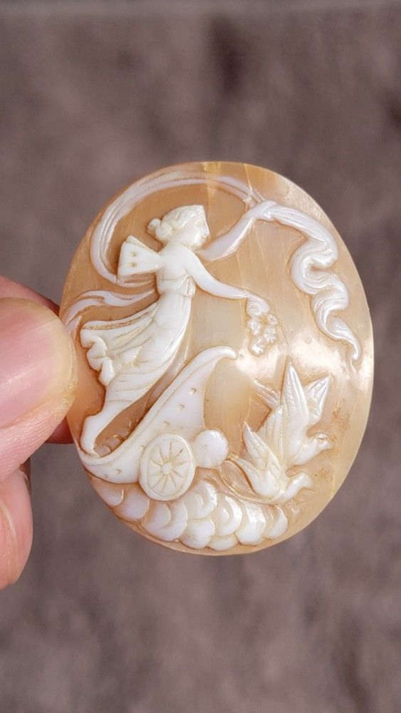 antique carved shell cameo