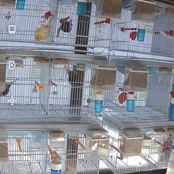 Cage For Sale 