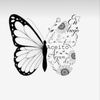 Lucy 🦋